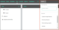 In the Files page select a project branch to see specific files according to the branch.