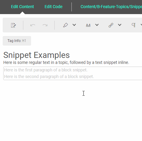 Animated gif illustrating how to insert a snippet.